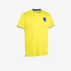 Kipsta Adult Shirt FF100 - Sweden 2022