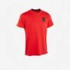 Kipsta Adult Shirt FF100 2 Kipsta Adult Shirt FF100 -Decathlon ke2033447f3b8cecd4ca39076ea262ed4