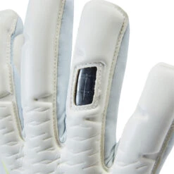 Kipsta Adult Football Goalkeeper Gloves F900 Viralto Shielder -Decathlon kf931dffe18e22da56fcdf2b11fe30d61